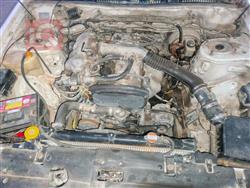 كيا بوتينشيا